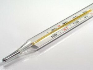 как измерить температуру у собаки