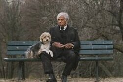 Стихи о собаках