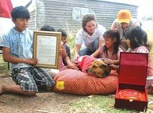 Бездомная собака спасла ребенка