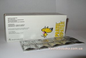 Лечение и профилактика глистов у собаки