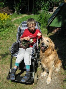 Канистерапия - лечение при помощи собак