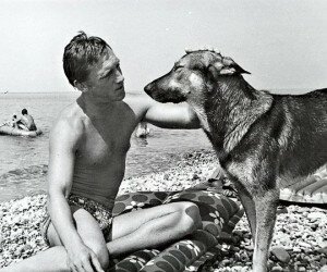 Владимир Высоцкий о собаках