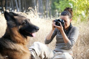 Как правильно фотографировать собак: 10 правил удачного снимка