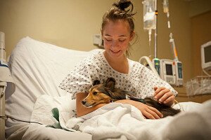 Итальянские собаки смогут проведывать своих хозяев в больнице