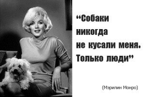 Мэрилин Монро и ее собаки