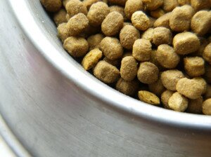 Как выбрать сухой корм для собак Как выбрать сухой корм для собак