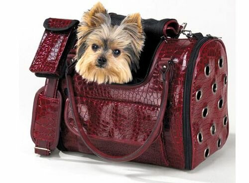 Сумка-переноска для собаки